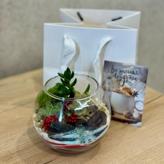 Мини шар для бабушки