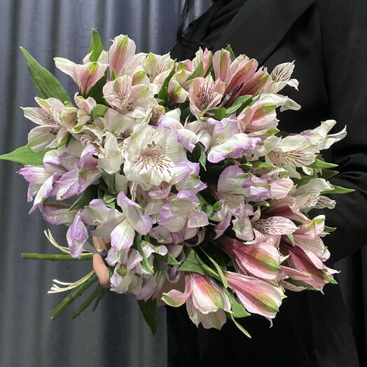 Букет из альстромерий моно 🌸