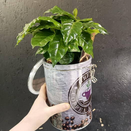 Кофе Koffievoorraadblik
