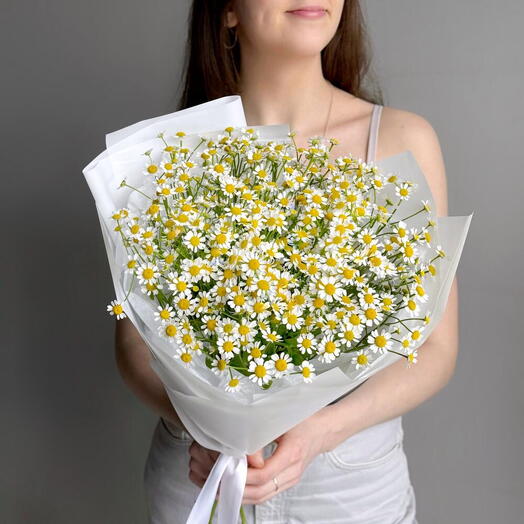 Полевой букет голландская кустовая ромашка матрикария, 11 веток
