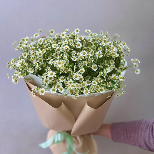 Букет из 25 ромашек