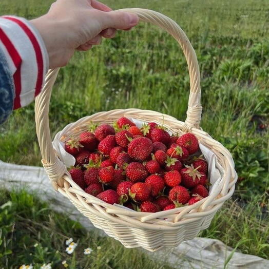 Плетеная корзина с клубникой