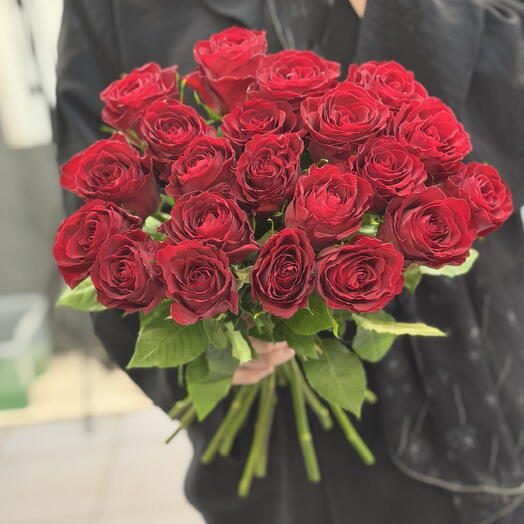 Голландия 50см