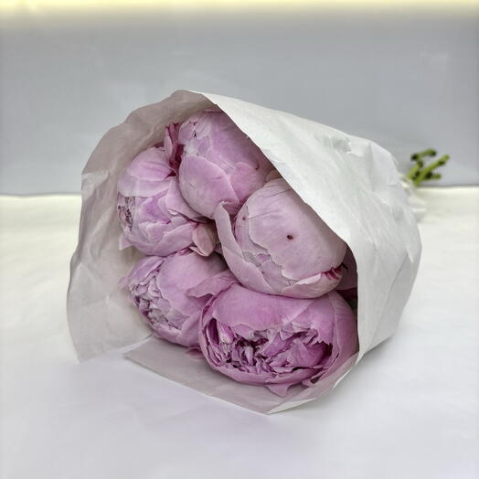 Пачка розовых пионов (5шт)