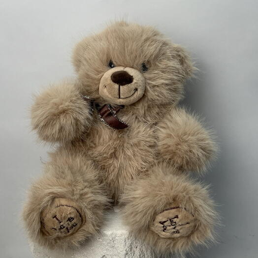 Нортон🐻