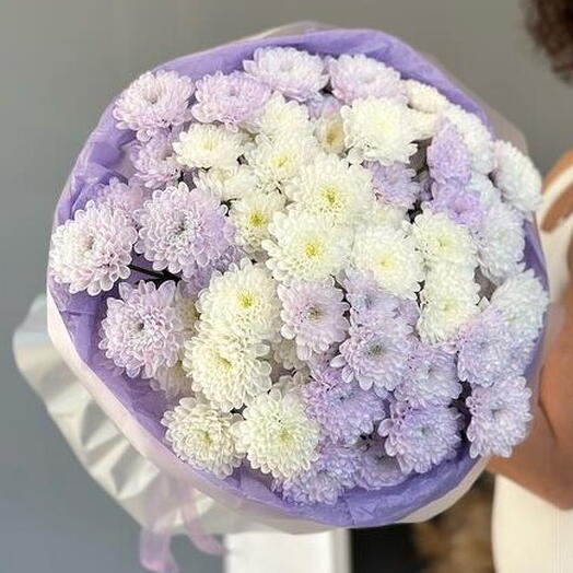 Букет из 15 кустовых хризантем алтай 💜 WOW букет