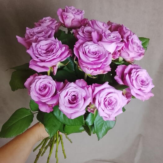 Роза Меритим 15 штук