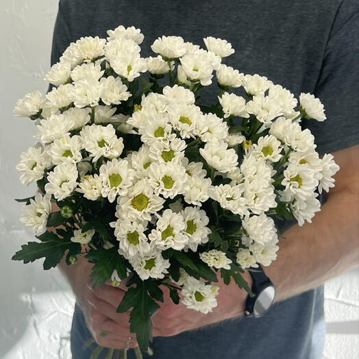 Букет из кустовых хризантем / ромашек