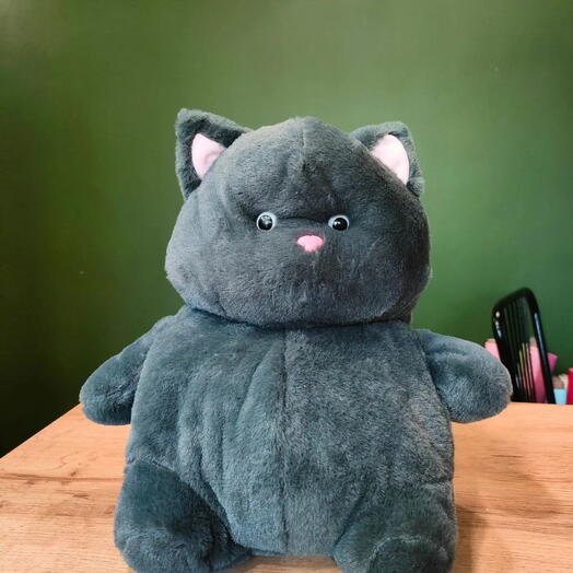 Мягкая игрушка -черный кот