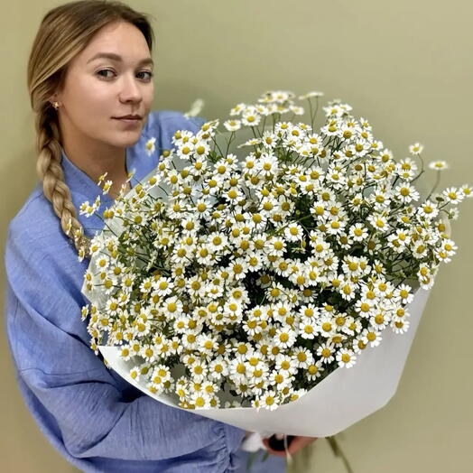 Букет из 25 шт.Полевых ромашек матрикария ( ромашка Камила, танацетум)