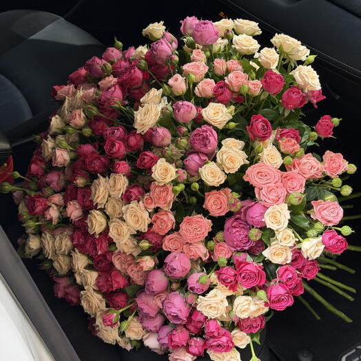 50 Spray Roses