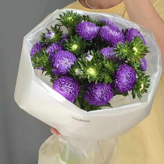 Фиолетовые астры 💜