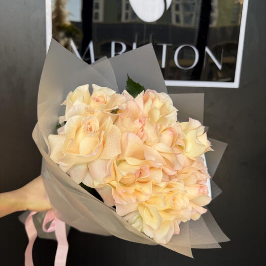 Maison France Roses🤍