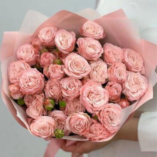 Bloom