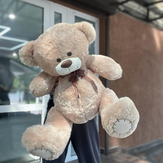 Средний медведь 🐻