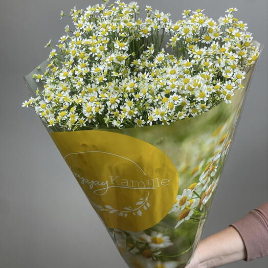 Пачка Матрикария,15шт