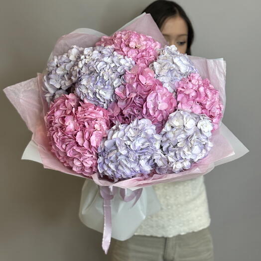 Гортензии для самых нежных 🥰