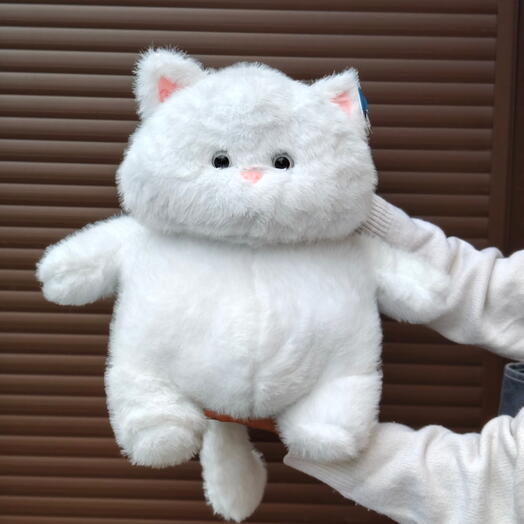 Котик