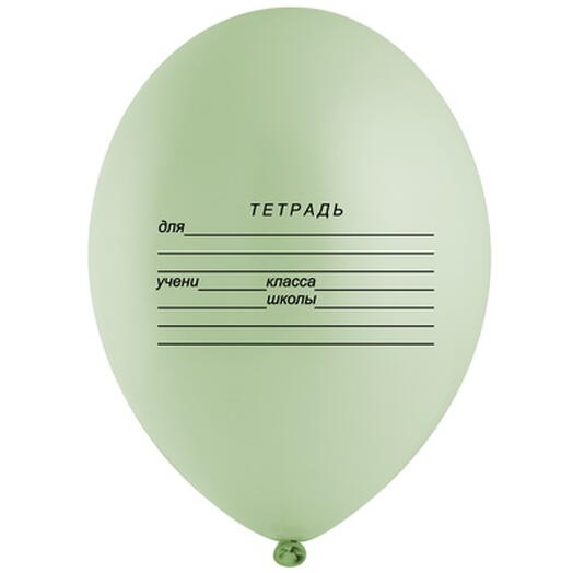 Шар тетрадь (можно подписать имя)