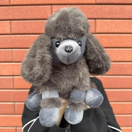 Мягкая игрушка - Чёрный Пудель 🐩
