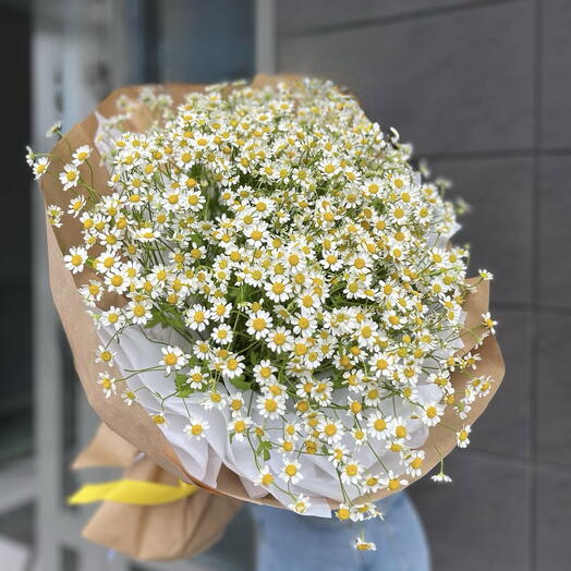 Букет из ромашек 45 шт