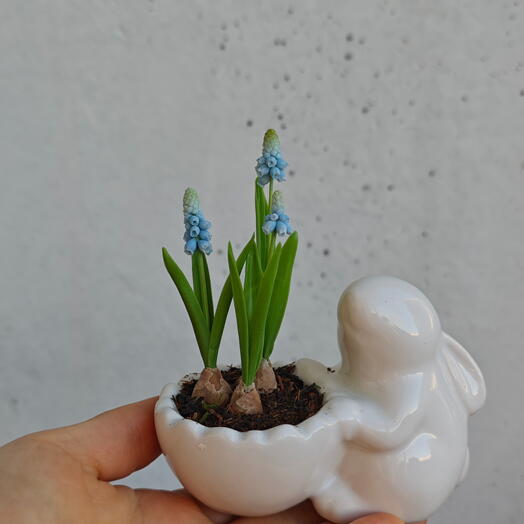 Мускари из холодного фарфора