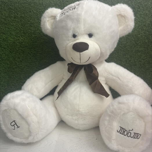 Медведь с признанием