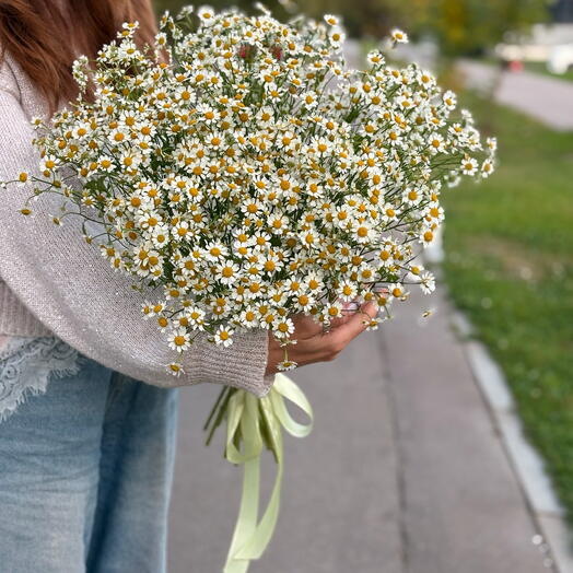 Букет ромашек