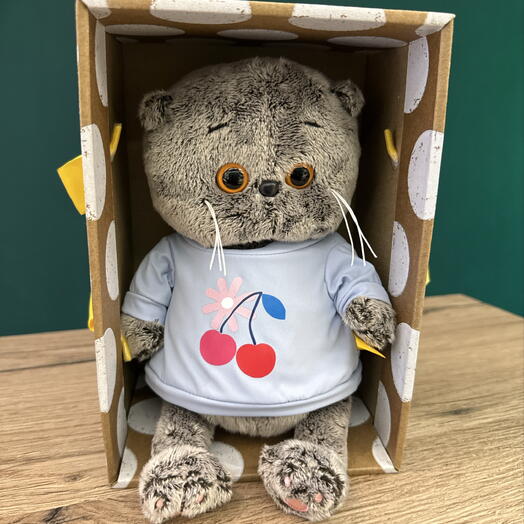 Игрушка Кот Басик в свитшоте