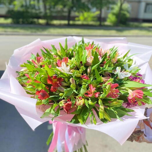 Альстромерия 51 штука