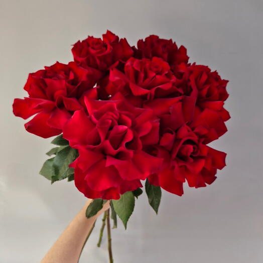 Моно букет из 7 французских роз 🌹