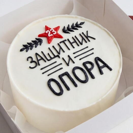 Бенто торт на 23 февраля «Защитник и опора»
