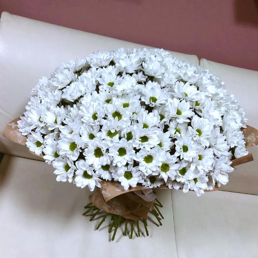 Chamomile