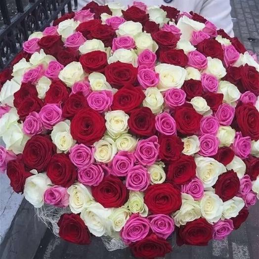 151 a rose for my beloved