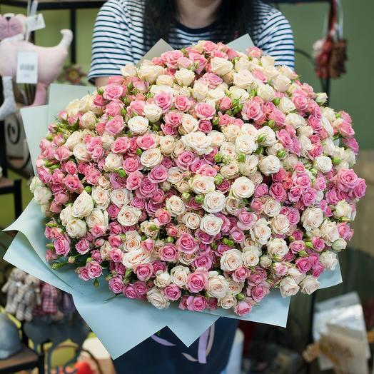 Bouquet de polvo de rosa arbusto