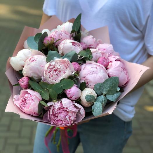 Пионы 🥰