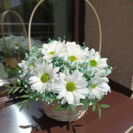 White chrysanthemum in a basket