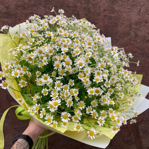 A bouquet of chamomile (matricaria) in a stylish package
