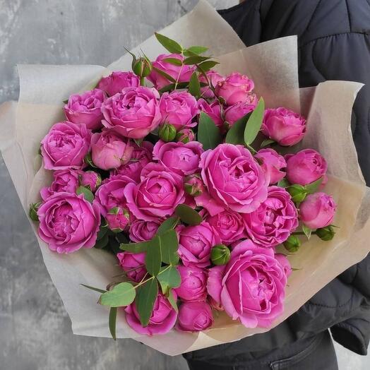Rosa delicia