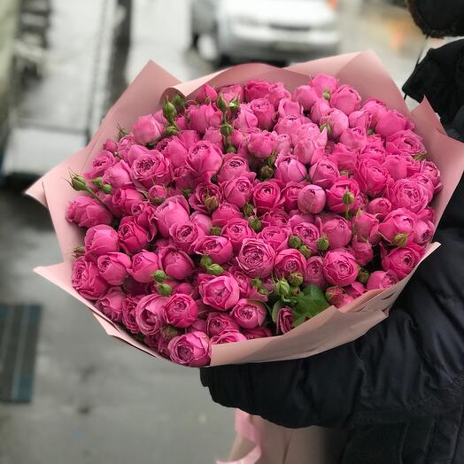 Peony - shaped bush roses