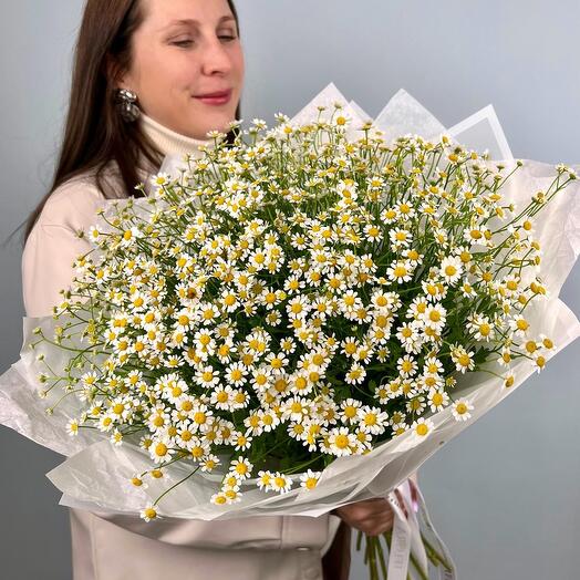 Daisies