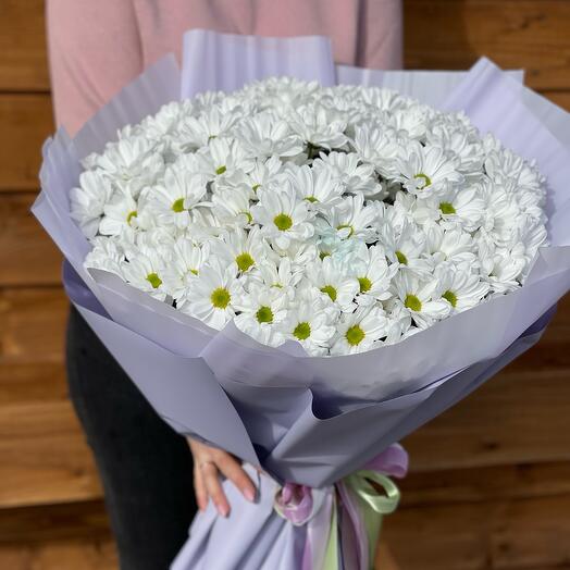 Ромашки🌸