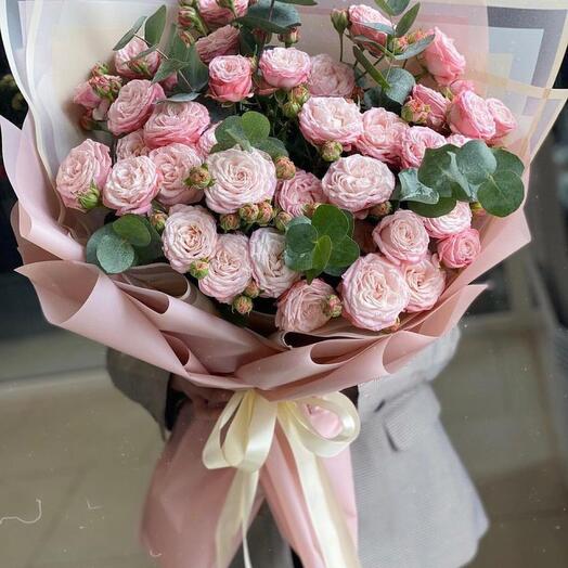 Bush Rose