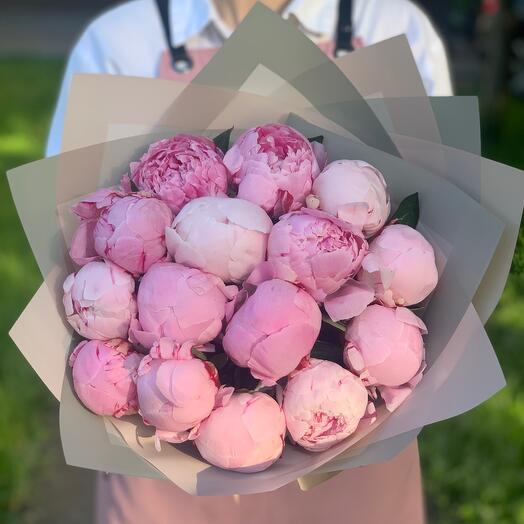 Букет Пионов. Розовые Пионы Сара Бернар, 15 шт