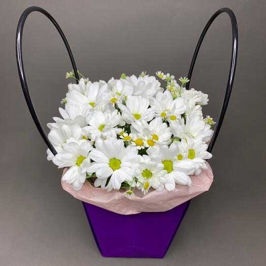 Daisies
