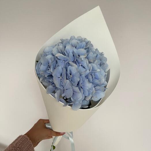 Compliment with hydrangea