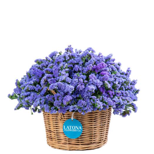 Корзина с голубыми лимониумами (сухоцветами) Latona Flowers