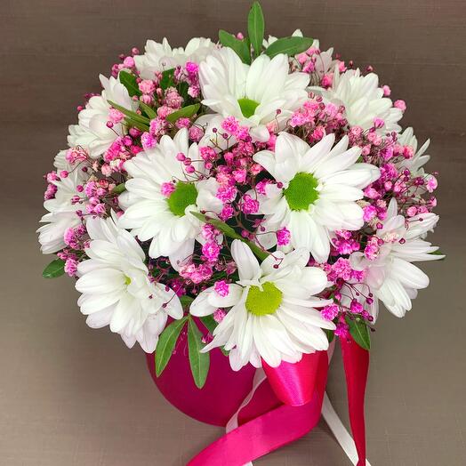 Daisies and gypsophila in a box
