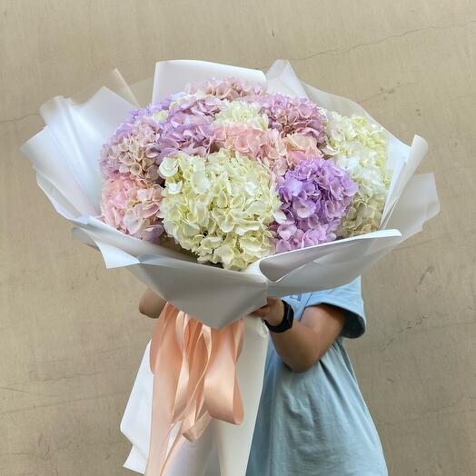 Hortensia