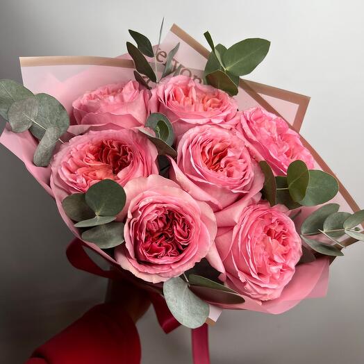 Peony Roses Pink Experiment 💘
